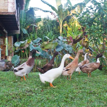 Jasri Dalem Surf Retreat Villa Exterior foto