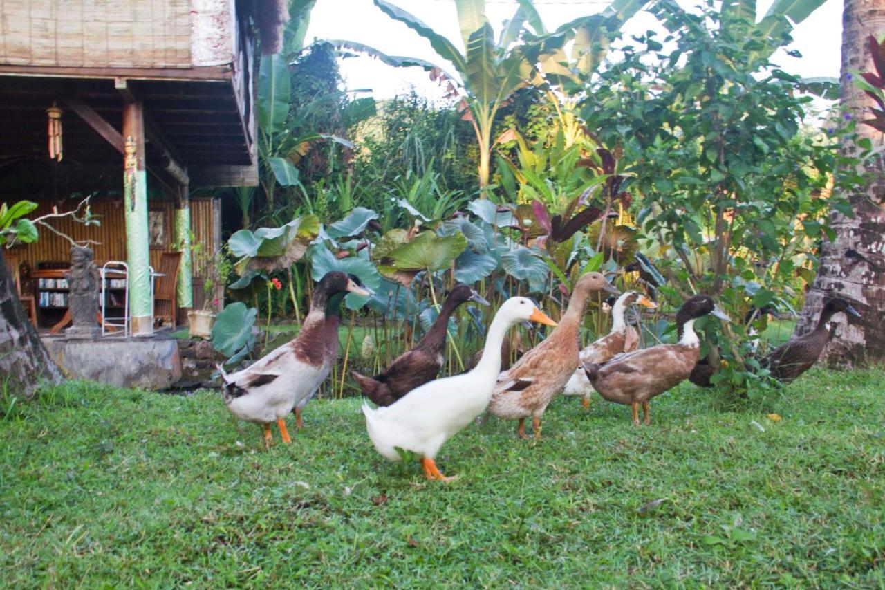 Jasri Dalem Surf Retreat Villa Exterior foto