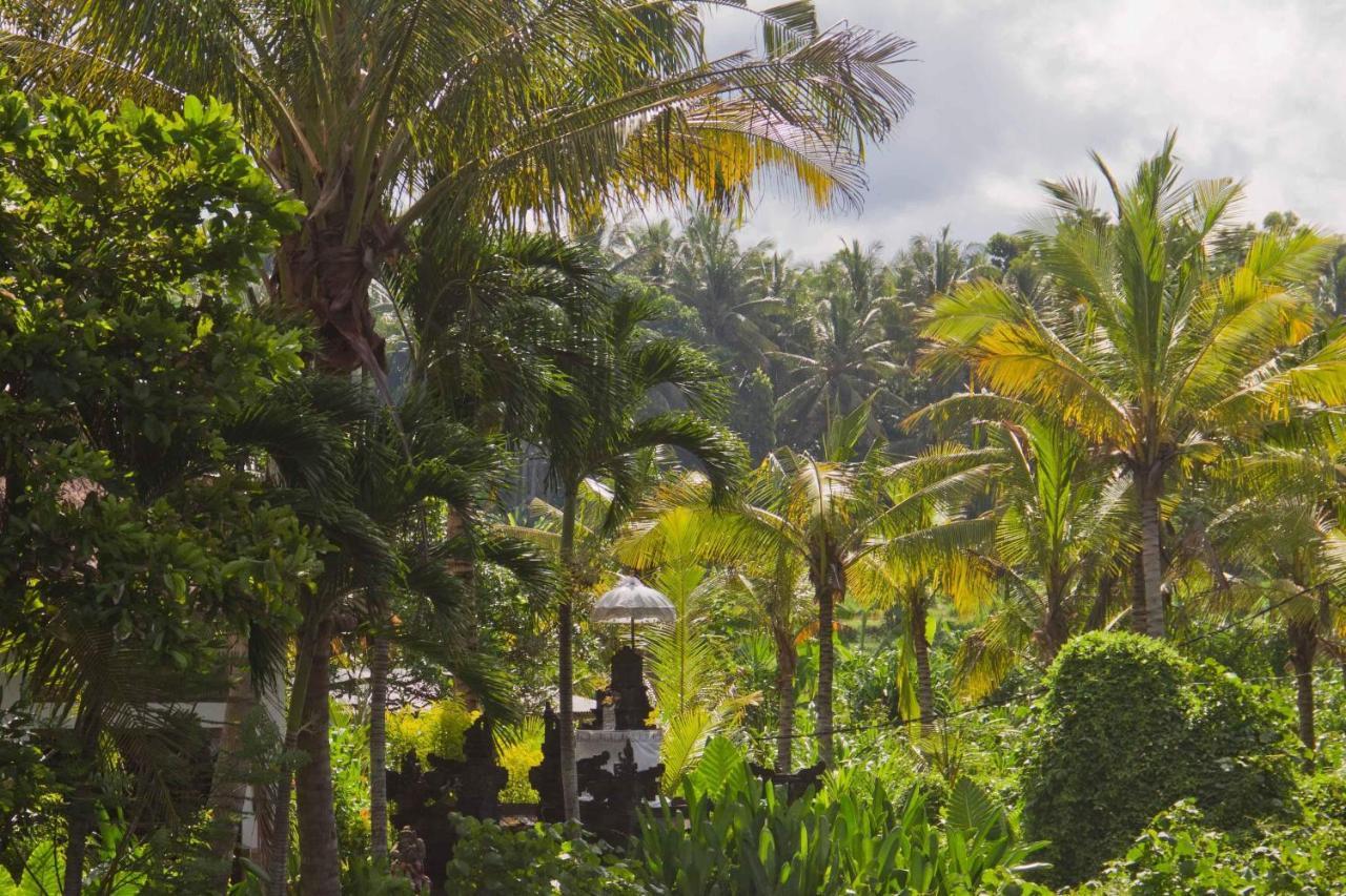 Jasri Dalem Surf Retreat Villa Exterior foto